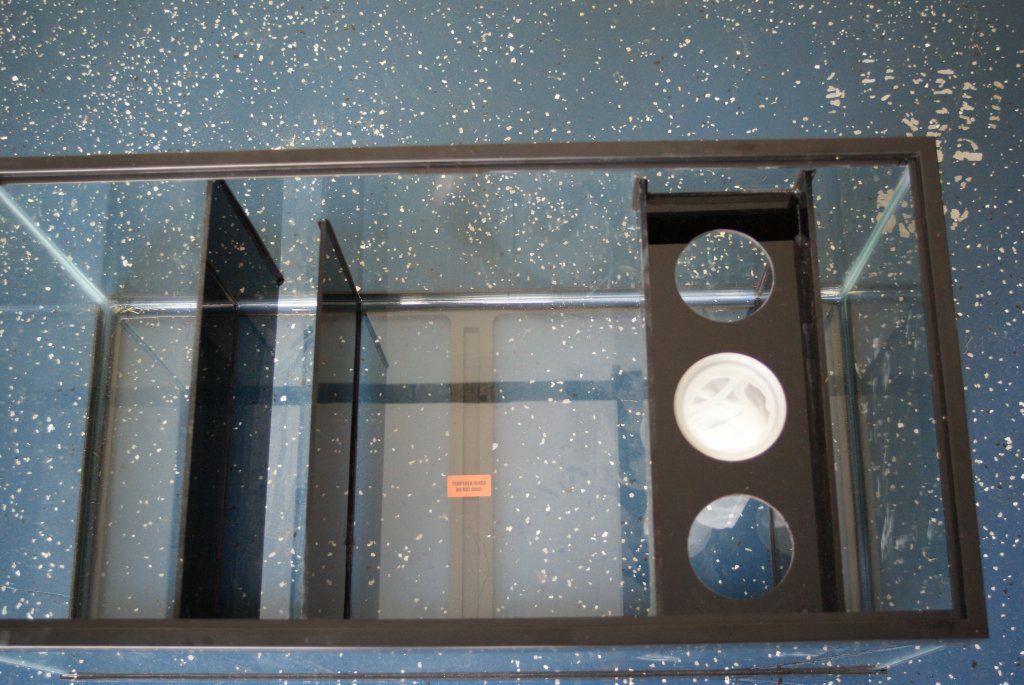 Acrylic baffles in glass sump Carolina Fish Talk